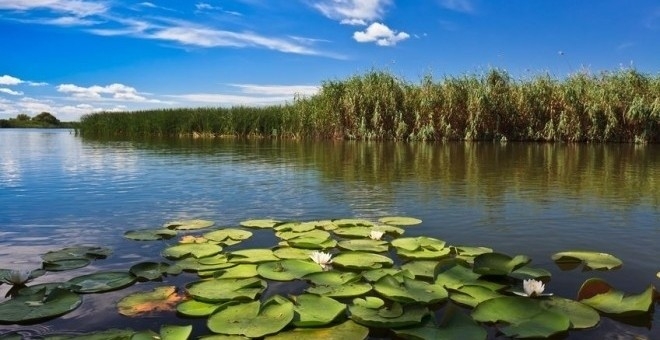 Ministerul Economiei, Antreprenoriatului și Turismului