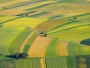 Noi reglementări privind vânzarea terenurilor agricole situate în extravilan