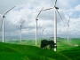 Energia eoliană a redevenit principala sursă de energie din Germania