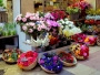 ANAF: Acțiuni antifraudă de monitorizare și control în domeniul comerțului cu plante ornamentale și flori