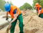MMSS: 4.862 persoane au suferit accidente de muncă în 2023
