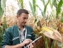 Fermierii vor primi subvenția de 100 de euro începând din 15 mai