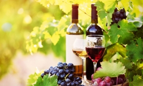 Schemă de ajutor de minimis pentru promovarea vinurilor în țări terțe