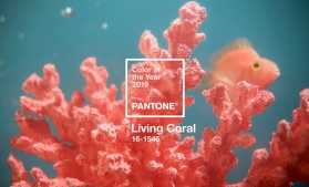 Living Coral, culoarea anului 2019