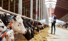 Fermierii pot depune cereri de plată pentru Măsura privind bunăstarea animalelor din 15 februarie