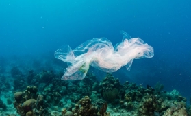 Mai multe bănci europene finanțează cu 4 miliarde de euro proiectele de oprire a poluării cu plastic a oceanelor