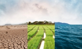 La nivel global, investitorii din sectorul agroalimentar riscă pierderi de 150 de miliarde de dolari din cauza schimbărilor climatice