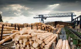 Volumul de lemn exploatat în 2021 a fost de 19,446 milioane de metri cubi, în scădere cu 1,7%