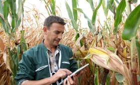 UE analizează relaxarea restricțiilor privind OMG-urile pentru a ajuta fermierii să se adapteze la schimbările climatice