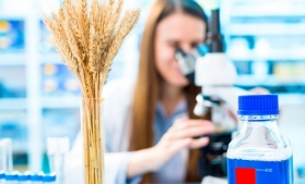 UE intenționează să revizuiască normele privind OMG-urile pentru a relaxa restricțiile cu privire la editarea genomică