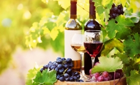România, a patra din lume la creșterea producției de vin în acest an