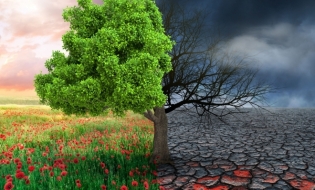 Eurobarometru: Combaterea schimbărilor climatice ar trebui să fie prioritatea Parlamentului European
