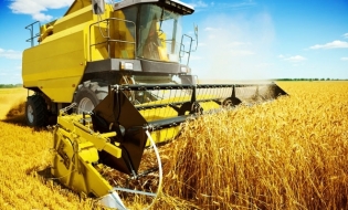 Cifra de afaceri a firmelor din sectorul agricol va scădea cu circa 15% în acest an