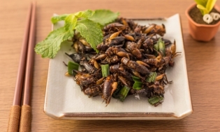 Autoritatea europeană în domeniul alimentar şi-a dat acordul pentru consumul de insecte