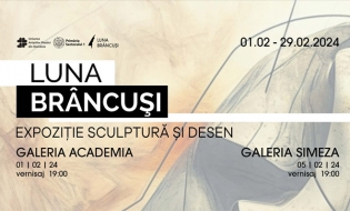 Luna Brâncuși: Expoziție de sculptură și desen perioada 1-29 februarie 2024