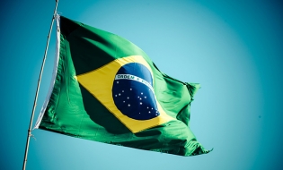 Brazilia va permite majorarea importurilor de carne de porc din Europa şi SUA