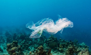 Comisia de Mediu din PE votează pentru interzicerea obiectelor din plastic de unică folosinţă din 2021