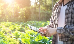 MADR lansează un ajutor excepțional pentru producătorii agricoli din sectorul vegetal