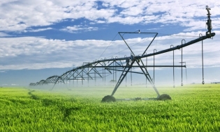 Ministrul Agriculturii: Toată suprafața agricolă a țării va fi protejată de secetă până în 2027, prin investiții în irigații