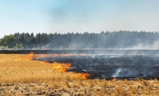 APIA: Fermierii nu mai au voie să incendieze miriștile, vegetația uscată și resturile vegetale pe terenurile arabile