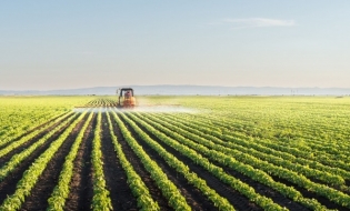 CE are în vedere o nouă derogare pentru 4% pârloagă pe terenurile agricole
