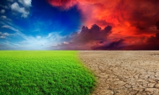Guvernul a aprobat cadrul general de obligațiuni destinate protejării mediului înconjurător și combaterii schimbărilor climatice