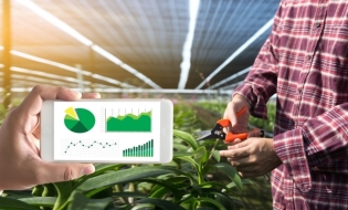 MADR a demarat proiectul RACER pentru digitalizarea sectorului agroalimentar din România