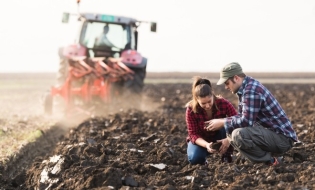 MADR: Peste 1,3 miliarde de lei au ajuns la beneficiari în primul trimestru al anului