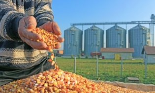 MADR: România și Egiptul vizează extinderea cooperării și a schimburilor comerciale agroalimentare