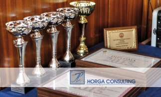 Horga Consulting – Premiul special al anului 2015 în Topul local al celor mai bune societăți membre CECCAR, filiala Arad
