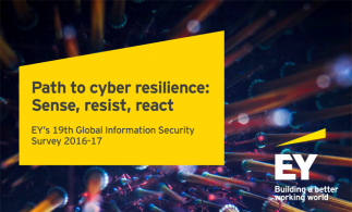 Studiu EY: Amenințările privind securitatea cibernetică a companiilor, în creștere la nivel mondial
