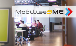 MobiliseSME: Un program pentru angajații IMM-urilor din Europa