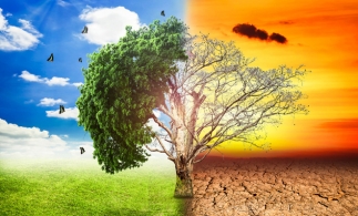 Studiu: Beneficiile economice ale luptei împotriva modificărilor climatice sunt subestimate