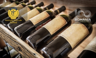 Studiu: Piaţa vinurilor bio creşte puternic, dar va rămâne o piaţă de nişă