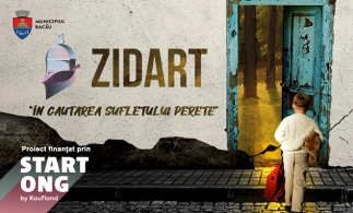 Prima pictură murală din România care purifică aerul, la Bacău