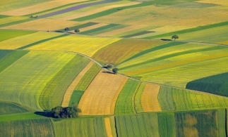 Suprafața cultivată în România a crescut la 8,263 milioane hectare în 2021; județele Dolj, Constanța și Galați, pe primele locuri