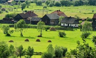 Eurostat: O treime dintre fermele din UE se află în România, dar 9 din 10 au o suprafaţă de sub 5 hectare