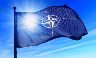 România îşi propune afilierea la NATO a primului Centru de Excelenţă pentru Protecţia Mediului
