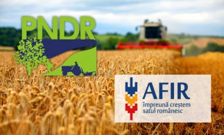 AFIR: Peste 35 milioane euro disponibile pentru investiţii în procesarea şi marketingul produselor agricole finanţate prin PNDR 2020
