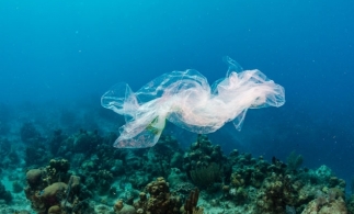 Ecotaxa pentru pungi din plastic a fost majorată la 15 bani pe bucată