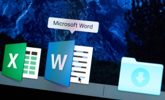 Doi elevi români, campioni mondiali la Word şi Excel la Campionatul Mondial Microsoft Office 2019