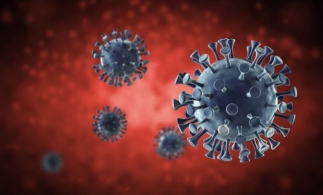 OIM: Pandemia de coronavirus este cea mai gravă
criză pentru muncitori după Al Doilea Război Mondial
