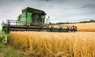 Ministerul Agriculturii intenţionează să acorde fermierilor despăgubirile pentru secetă înainte de campania de toamnă