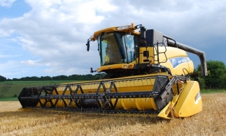 UE şi-a revizuit estimările privind recolta de grâu din acest an