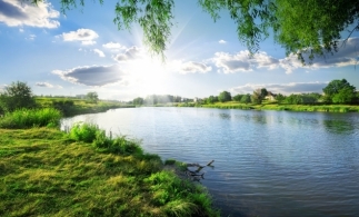 ANAR: Două utilaje amfibii curăţă vegetaţia acvatică de pe râul Dâmboviţa