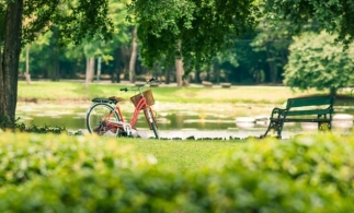 A fost reamenajat parcul din centrul Mangaliei