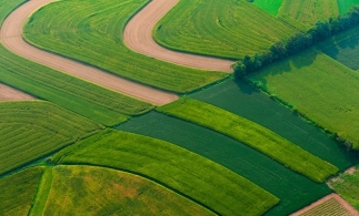 MADR: Noi reglementări în domeniul vânzării terenurilor agricole din extravilan