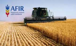 Timpul de răspuns la solicitările adresate AFIR a fost redus la jumătate