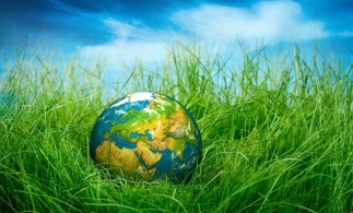 WWF: La 29 iulie se termină cota de resurse naturale generate de Pământ pentru anul 2021