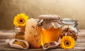 Adrian Oros: Etichetarea corectă a mierii protejează atât apicultorii, cât și consumatorii români
